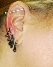 industrial and lobe piering