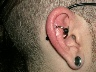 inner conch flat helix orbital piercing