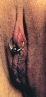 female-genital-piercing-HCH