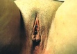 vertical-clit-hood-piercing-VCH