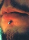 labret piercing